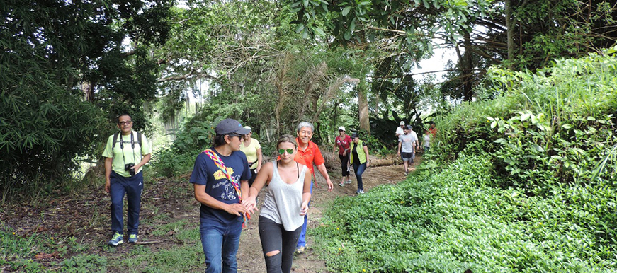 Caminemos por Bucaramanga en esta Semana Santa