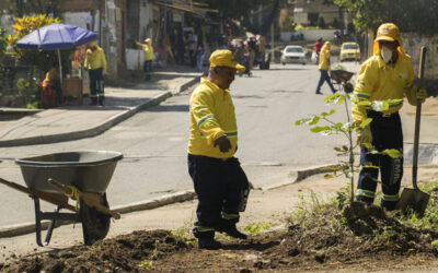 Alcaldía de Bucaramanga destinó $4.677 millones para el mantenimiento de parques y zonas verdes