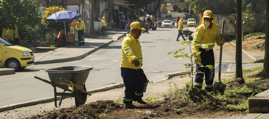 Alcaldía de Bucaramanga destinó $4.677 millones para el mantenimiento de parques y zonas verdes