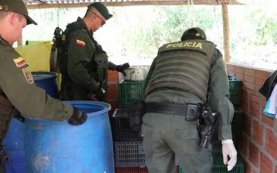 Bucaramanga sigue dando contundentes golpes contra el microtráfico