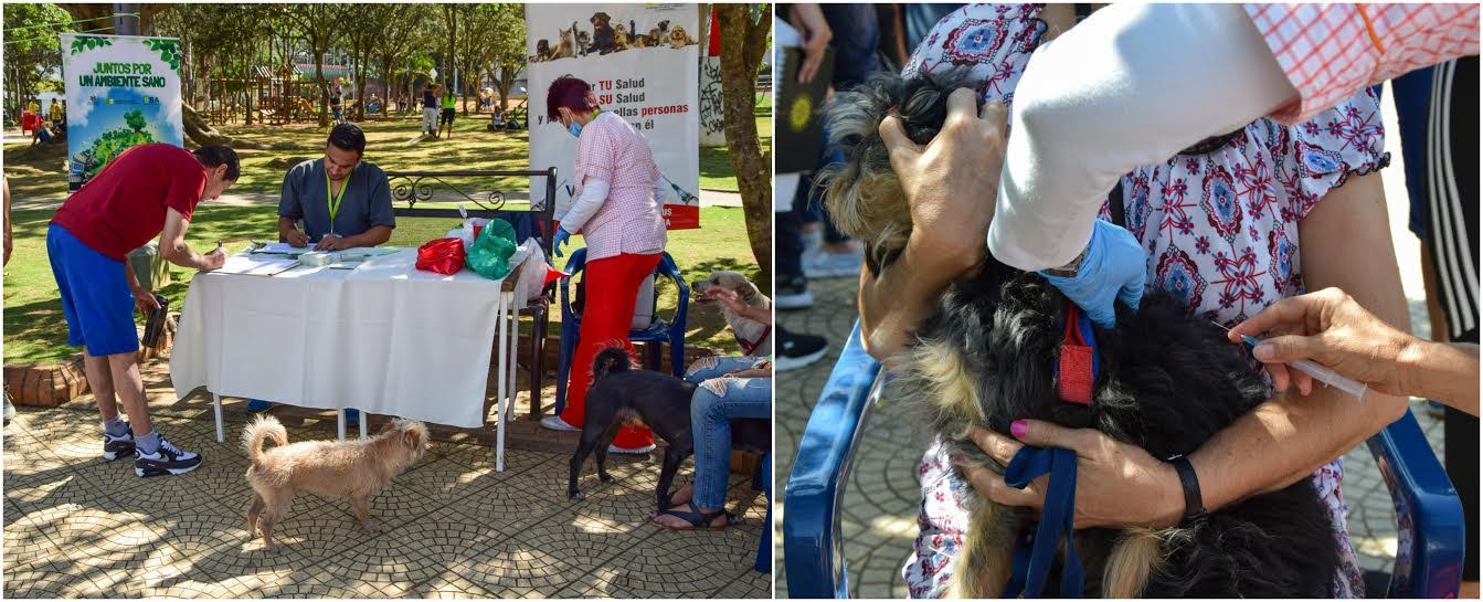 20 mil animales, entre felinos y caninos, es la meta de vacunación para el 2020