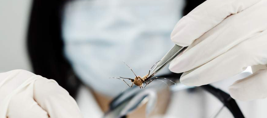 El dengue en Bucaramanga pasó de periodo de alerta a vigilancia epidemiológica