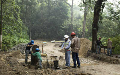 Se reactivó la obra del Bosque de los Caminantes