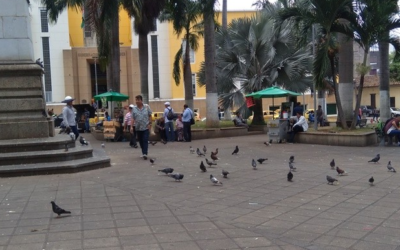 Se iniciaron las jornadas pedagógicas de sensibilización para el trato de palomas en el Parque García Rovira