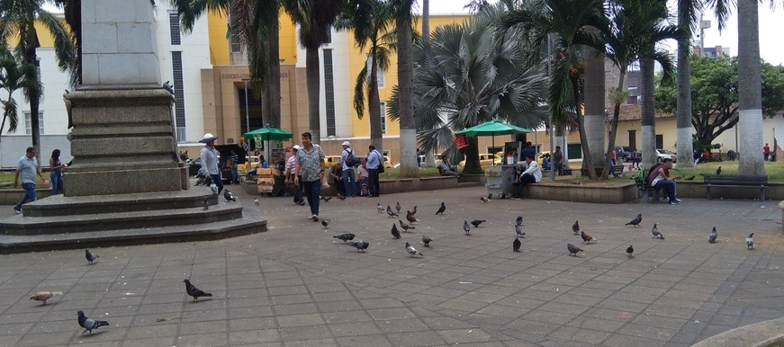 Se iniciaron las jornadas pedagógicas de sensibilización para el trato de palomas en el Parque García Rovira