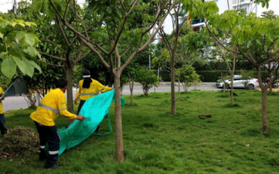Alcaldía de Bucaramanga intensifica la recuperación de los parques y zonas verdes