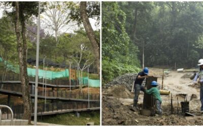 Alcaldía de Bucaramanga reactiva proyectos como el Bosque de los Caminantes y la fase II del Bosque Encantado