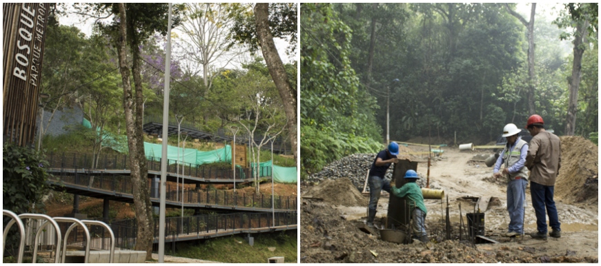 Alcaldía de Bucaramanga reactiva proyectos como el Bosque de los Caminantes y la fase II del Bosque Encantado
