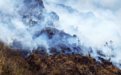 Nueve incendios fueron atendidos por Bomberos de Bucaramanga este fin de semana