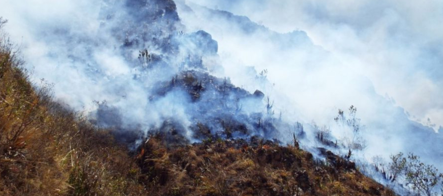 Bucaramanga se une a sala de crisis en alianza con Bogotá frente a emergencias por incendios forestales imagen de la publicación