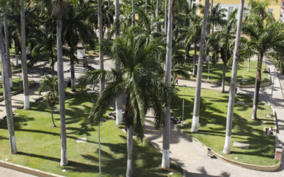 Se intensifican los trabajos de limpieza y recuperación de parques con estrictos protocolos de bioseguridad en Bucaramanga