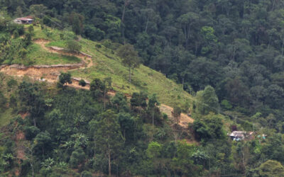 ¡Buenas noticias! Alcaldía de Bucaramanga invertirá cerca de $40 mil millones en el campo