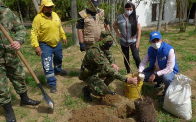 Con la siembra de más de mil árboles la Alcaldía de Bucaramanga y el Ejército rindieron homenaje al Día Mundial de la Biodiversidad