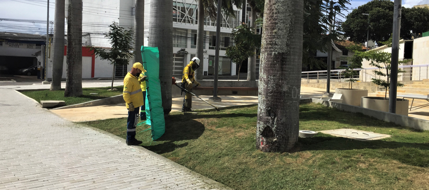 El verde del prado japonés se realza en los parques de Bucaramanga