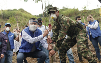 Alcaldía de Bucaramanga sembró 6.000 árboles en el Norte de Bucaramanga