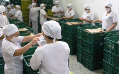 Así se cumplen protocolos de bioseguridad en bodegas del PAE previo a entrega en Bucaramanga