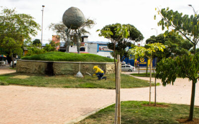 Con la siembra de nuevos árboles se embellece la glorieta de la carrera 9 con avenida Quebradaseca