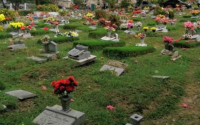 Así se tramita en la secretaría de Salud y Ambiente de Bucaramanga el permiso de exhumación de un cuerpo