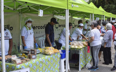 Bajo estrictos protocolos, Alcaldía de Bucaramanga estudia reapertura de los Mercadillos Campesinos