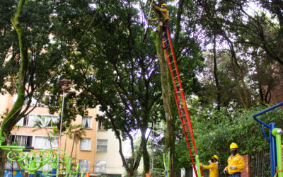 La EMAB se toma y embellece el Parque Conucos