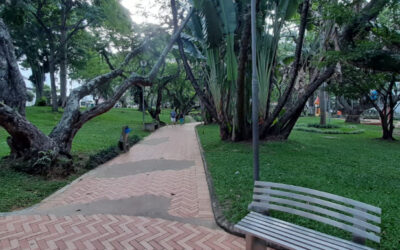 Resurgió el prado en el Parque San Pío