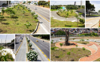 Las zonas verdes resplandecen en el ingreso, por la zona sur, a Bucaramanga