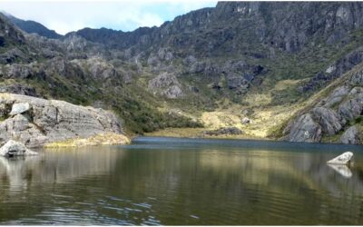 El Páramo de Santurbán tendrá su momento de brillar en Cenfer