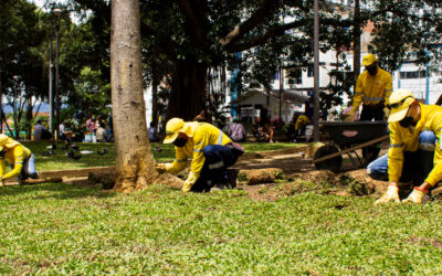 La ‘revolución verde’ llegó al Parque Antonia Santos