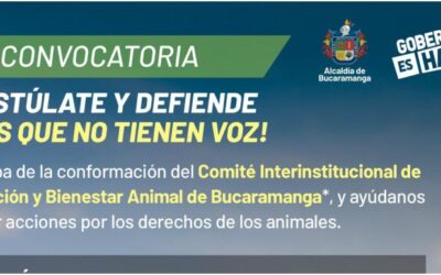 Municipio abrió convocatoria para conformar el Comité Interinstitucional de Protección y Bienestar Animal