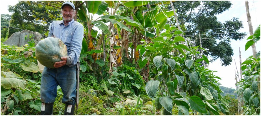 Reactivación de los Mercadillos Campesinos contribuye al mejoramiento de la calidad de vida de 216 familias rurales