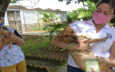 Más de $1.000 millones serán adicionados al presupuesto de Bienestar Animal en 2022