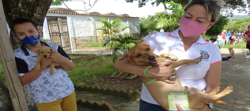 Exitosa jornada de vacunación antirrábica en Bucaramanga: inmunizados 6.476 animales entre caninos y felinos