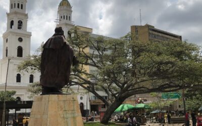 Alcaldía de Bucaramanga realiza el manejo integral del componente arbóreo en el Parque Santander