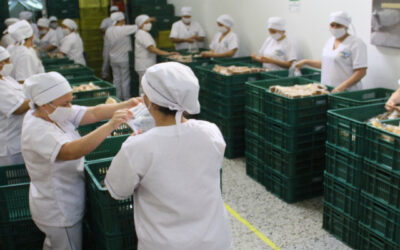Desde hoy lunes 9 de noviembre en 111 sedes educativas oficiales se entregarán paquetes alimentarios a 33.789 estudiantes