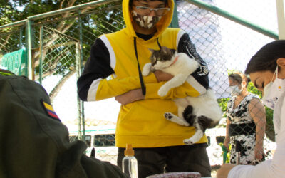 6.700 animales entre caninos y felinos se han vacunado contra la rabia en Bucaramanga