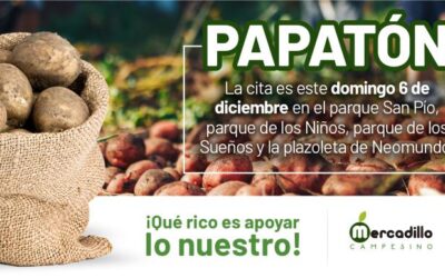 Bucaramanga se suma a la ‘Papatón’ para apoyar a productores de la región