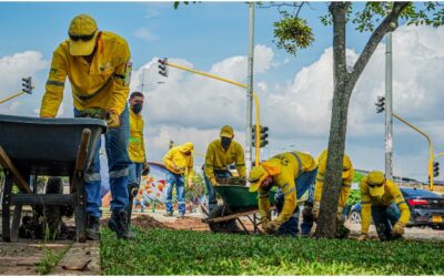 Alcaldía de Bucaramanga garantiza 209 puestos de trabajo con contrato de mantenimiento de parques y zonas verdes durante el 2021