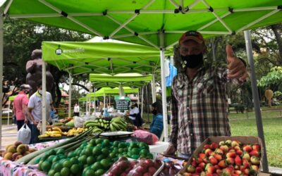 Así operarán los Mercadillos Campesinos este domingo 17 enero