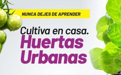 Secretaría de Desarrollo Social invita a las personas, mayores de 60 años, a participar del curso de huertas urbanas liderado por el SENA