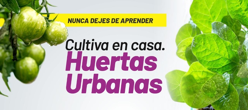 Secretaría de Desarrollo Social invita a las personas, mayores de 60 años, a participar del curso de huertas urbanas liderado por el SENA