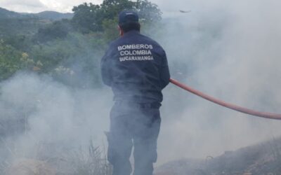 Más de dos incendios forestales por día han atendido autoridades del Municipio en lo que va del año