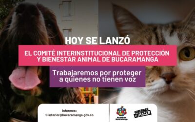 Bucaramanga ya cuenta con Comité Interinstitucional de Protección y Bienestar Animal