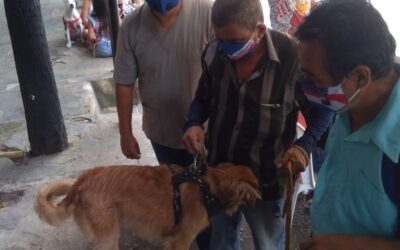 Jornadas de vacunación antirrábica, para perros y gatos, construyen bienestar en el Norte de Bucaramanga