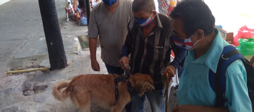 Jornadas de vacunación antirrábica, para perros y gatos, construyen bienestar en el Norte de Bucaramanga