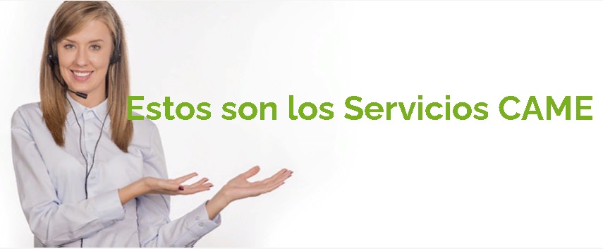 servicios came
