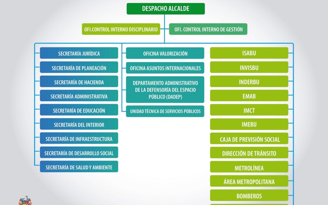 Estructura orgánica – Organigrama