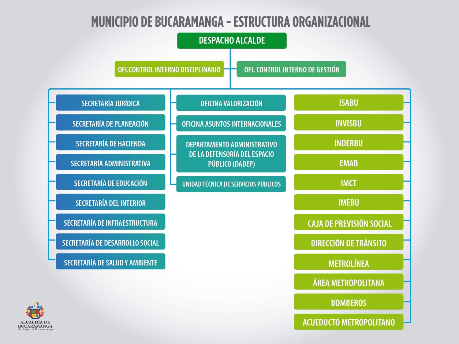 Organigrama