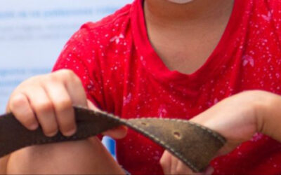 ¿Cómo reportar casos de trabajo infantil en Bucaramanga?