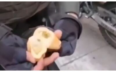 Capturado ciudadano que comercializaba pan con marihuana
