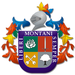 escudo bucaramanga